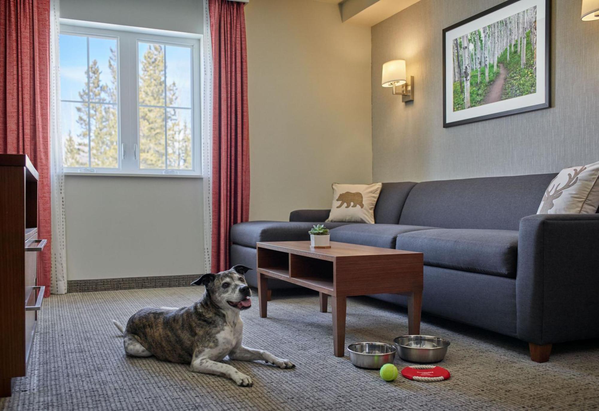 Residence Inn By Marriott Breckenridge Exterior photo